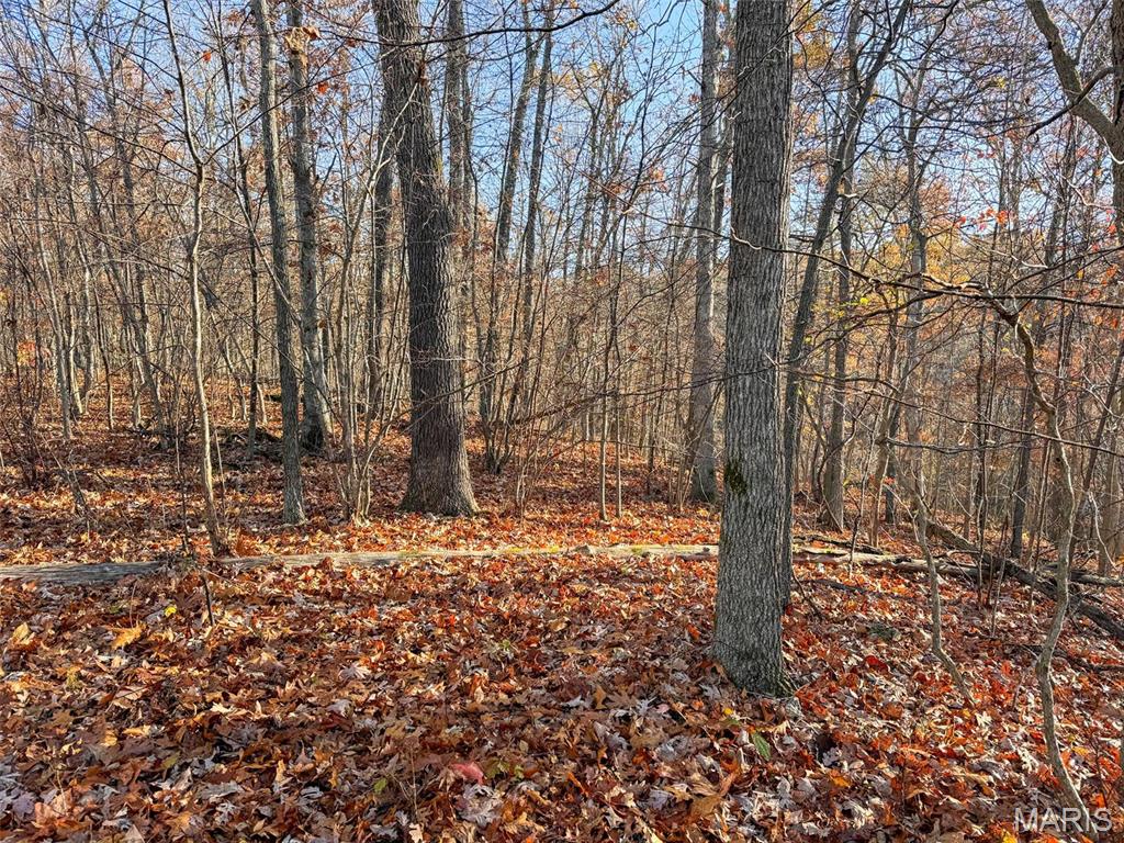 Photo 44 - Farm for sale – 0  Highway K   Jadwin, MO