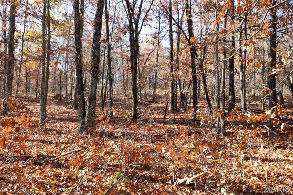 Photo 49 - Farm for sale – 0  Highway K   Jadwin, MO