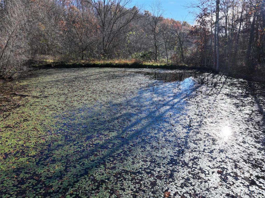 Photo 28 - Farm for sale – 0  Highway K   Jadwin, MO