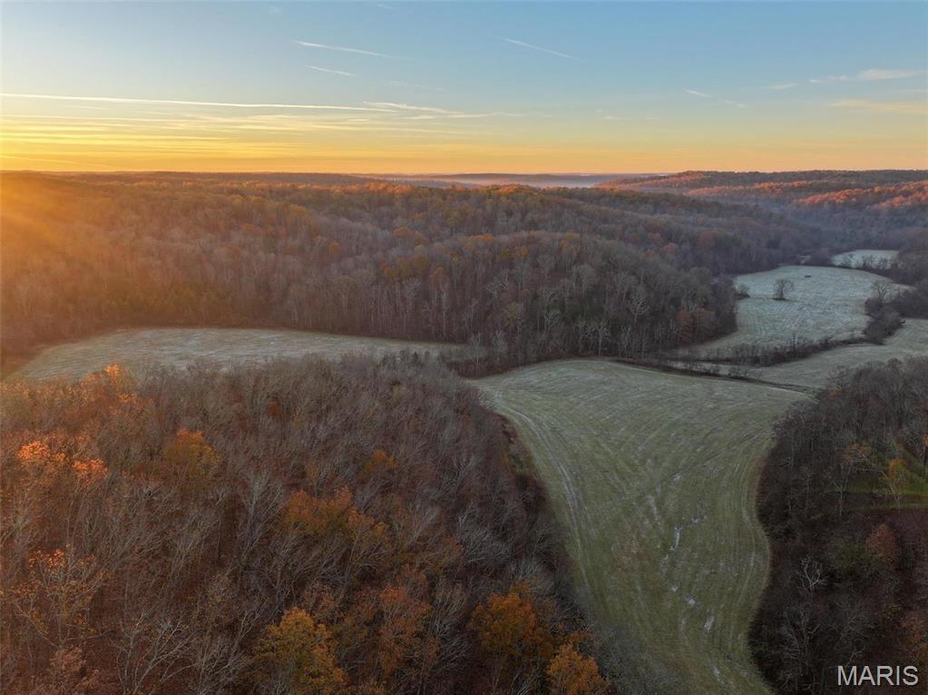 Photo 3 - Farm for sale – 0  Highway K   Jadwin, MO