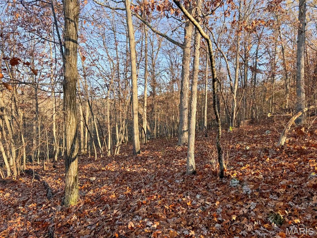 Photo 46 - Farm for sale – 0  Highway K   Jadwin, MO