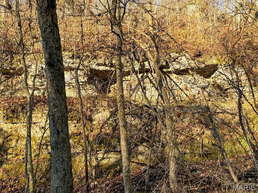 Photo 47 - Farm for sale – 0  Highway K   Jadwin, MO