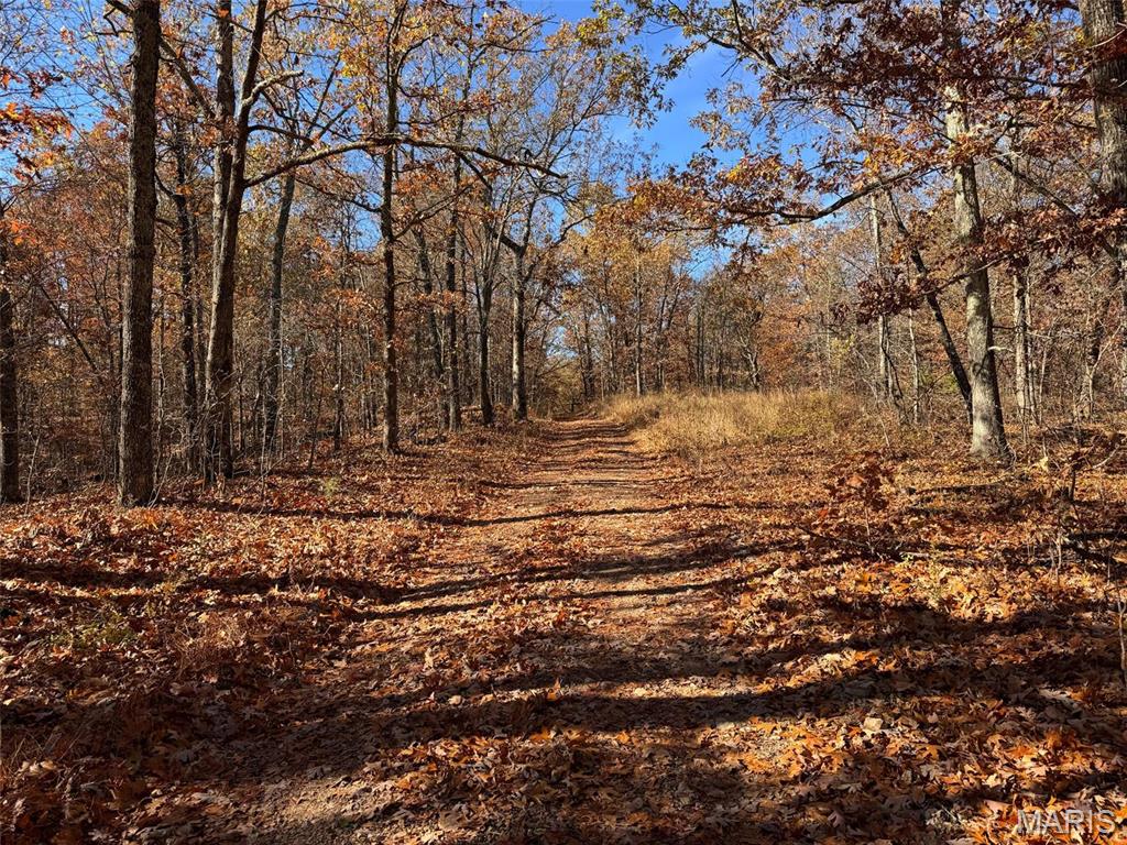 Photo 36 - Farm for sale – 0  Highway K   Jadwin, MO