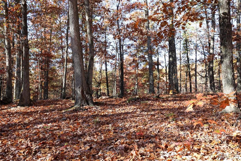 Photo 52 - Farm for sale – 0  Highway K   Jadwin, MO