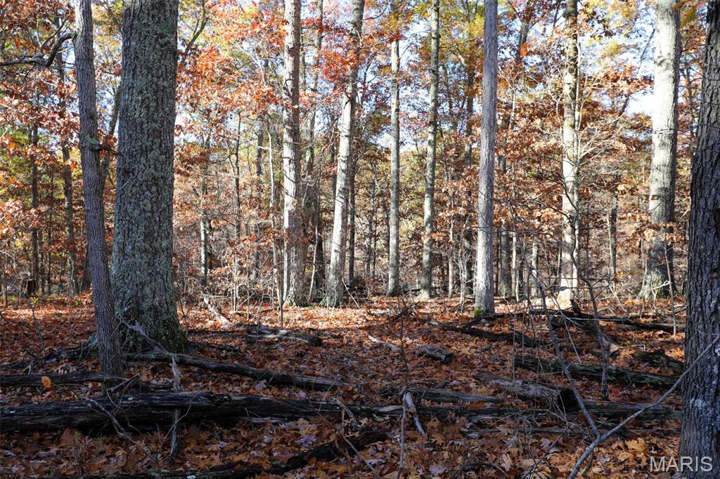 Photo 38 - Farm for sale – 0  Highway K   Jadwin, MO