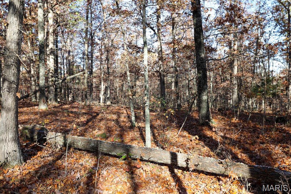 Photo 50 - Farm for sale – 0  Highway K   Jadwin, MO