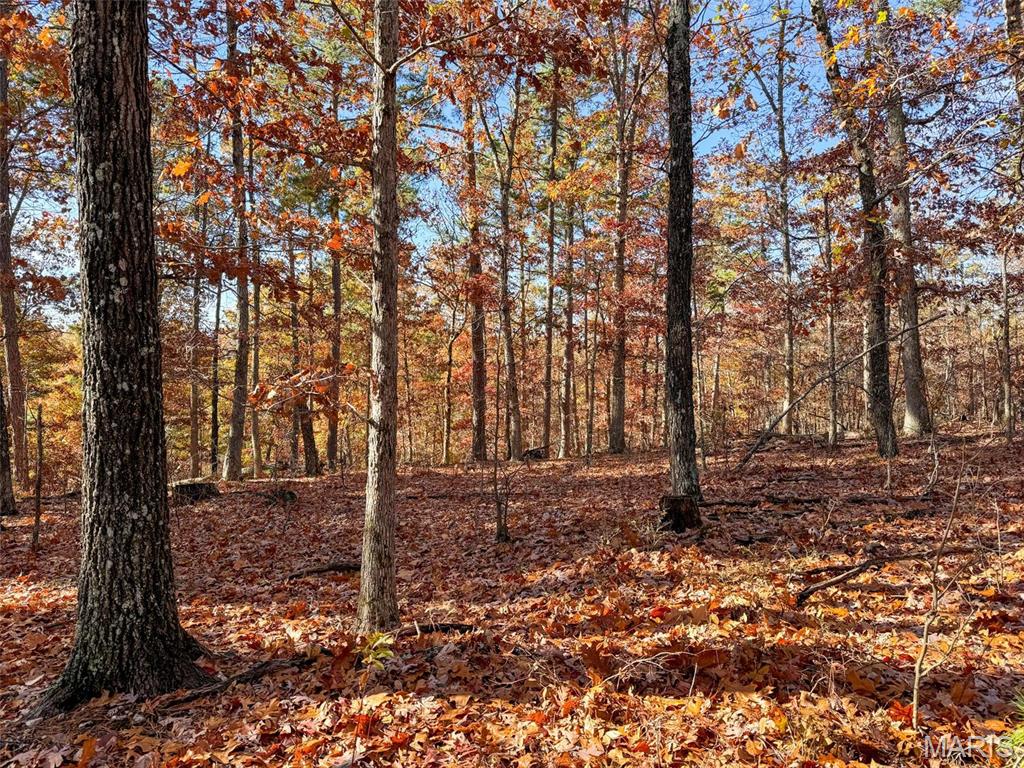Photo 41 - Farm for sale – 0  Highway K   Jadwin, MO