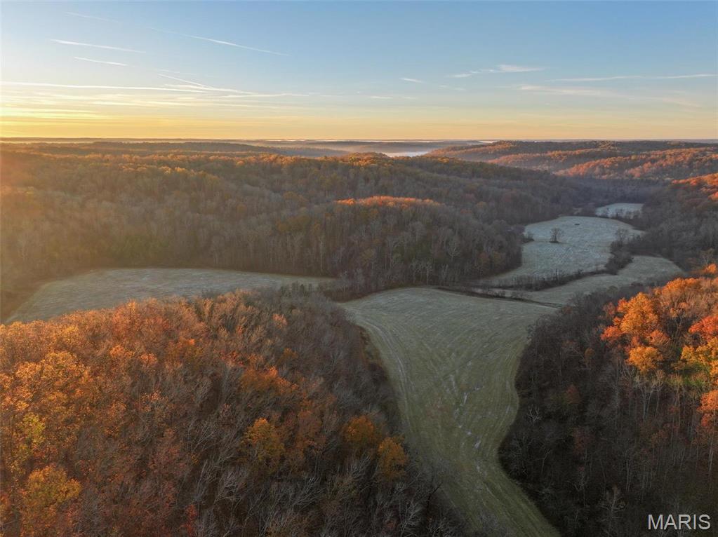 Photo 8 - Farm for sale – 0  Highway K   Jadwin, MO
