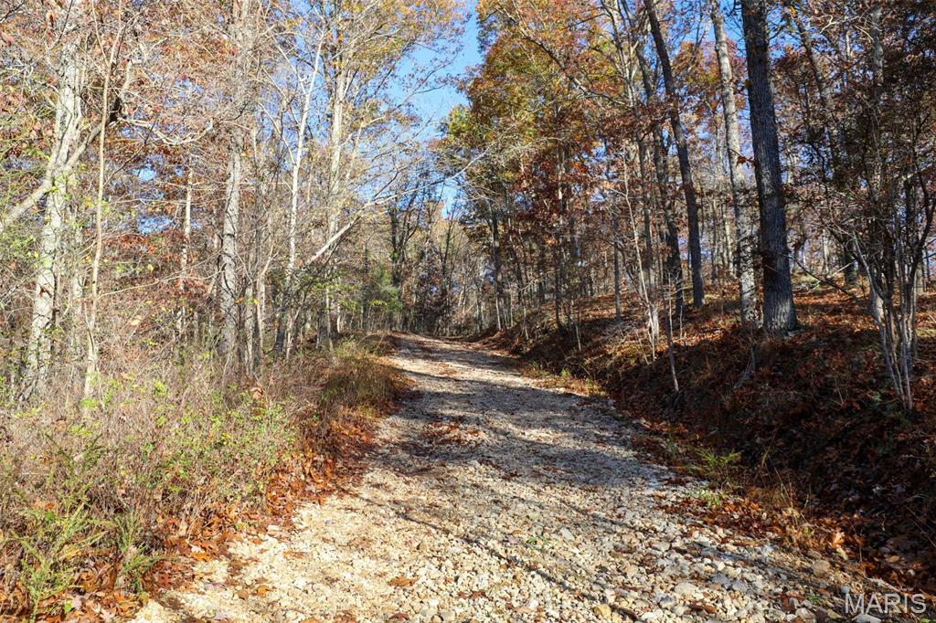 Photo 34 - Farm for sale – 0  Highway K   Jadwin, MO
