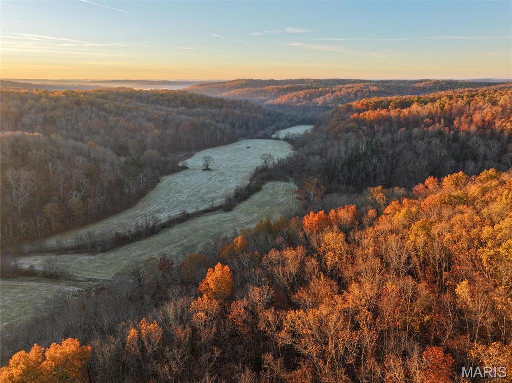 Photo 2 - Farm for sale – 0  Highway K   Jadwin, MO