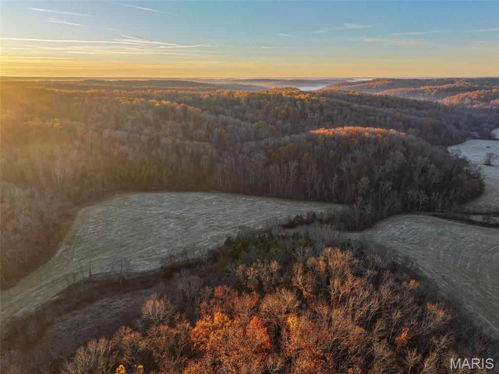 Photo 9 - Farm for sale – 0  Highway K   Jadwin, MO