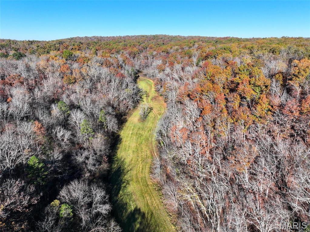Photo 14 - Farm for sale – 0  Highway K   Jadwin, MO