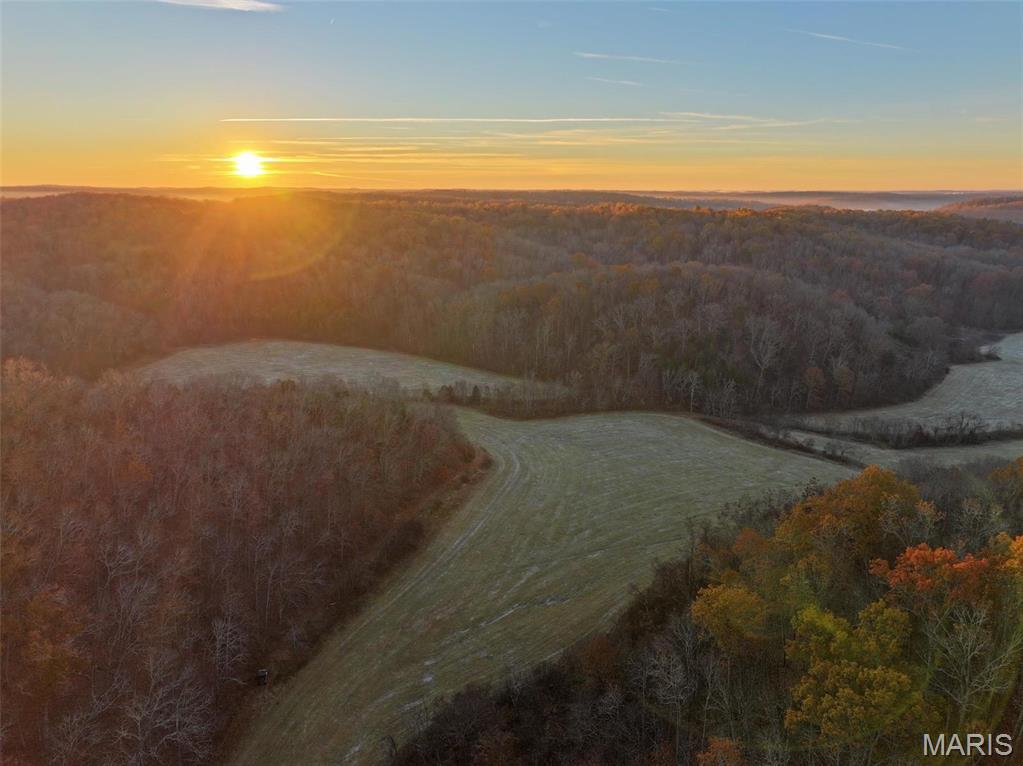 Photo 4 - Farm for sale – 0  Highway K   Jadwin, MO