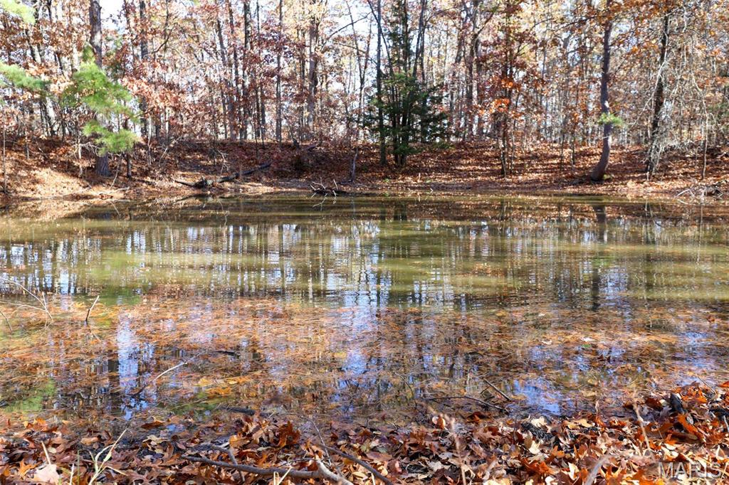 Photo 29 - Farm for sale – 0  Highway K   Jadwin, MO