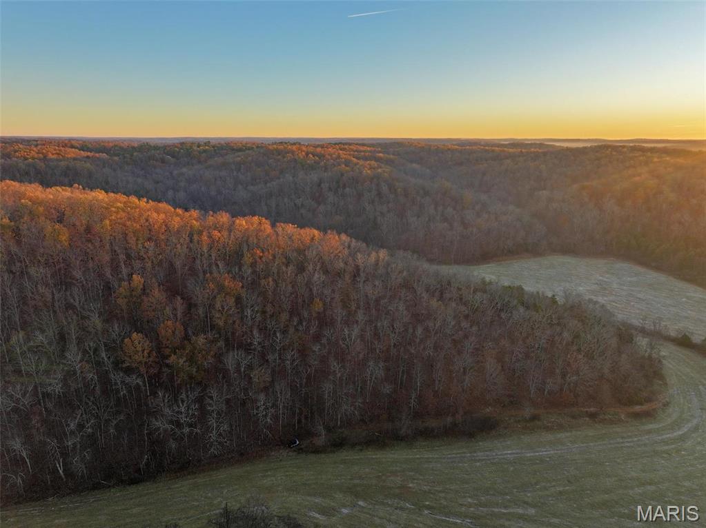 Photo 6 - Farm for sale – 0  Highway K   Jadwin, MO