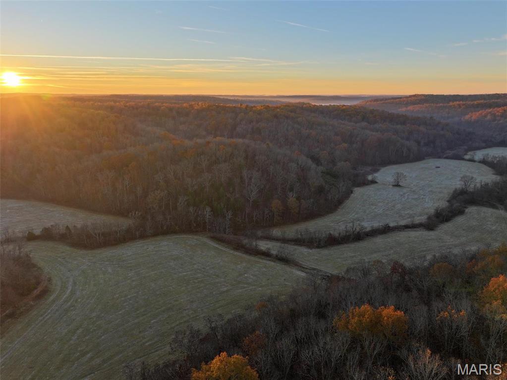 Photo 5 - Farm for sale – 0  Highway K   Jadwin, MO