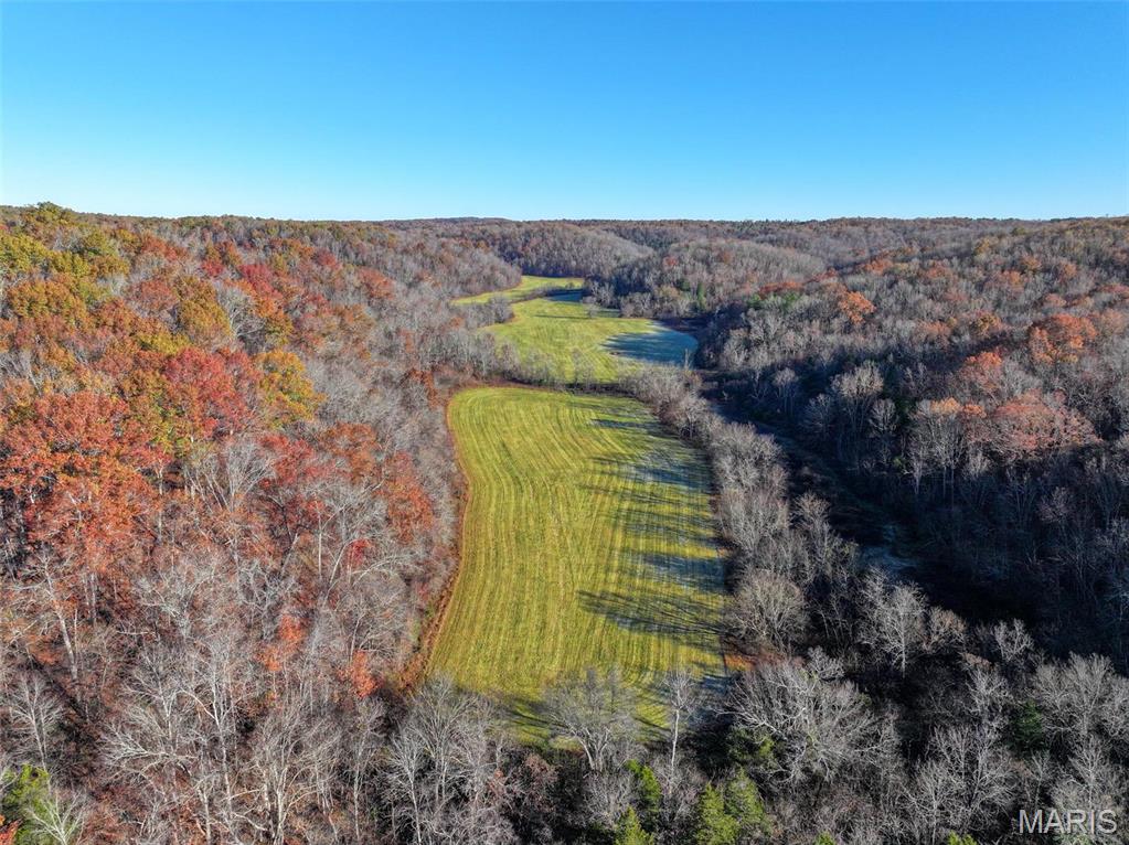 Photo 20 - Farm for sale – 0  Highway K   Jadwin, MO