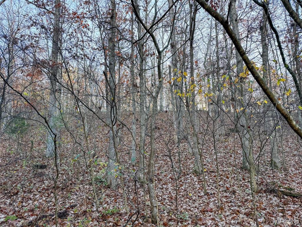 Photo 43 - Farm for sale – 0  Highway K   Jadwin, MO