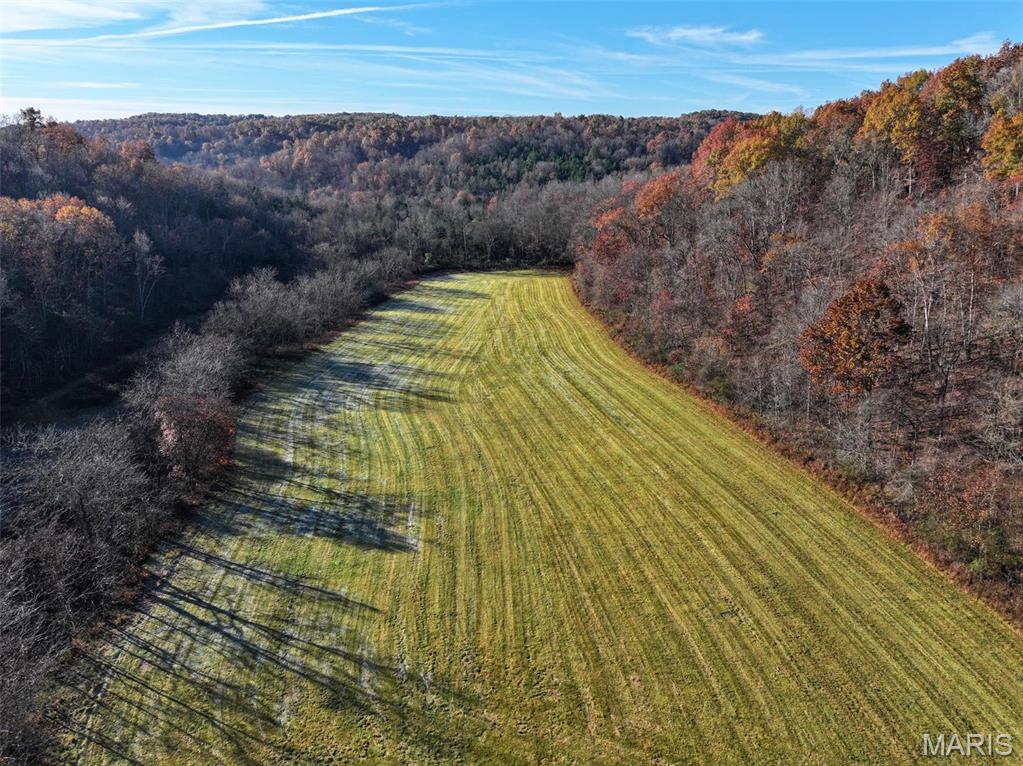 Photo 22 - Farm for sale – 0  Highway K   Jadwin, MO