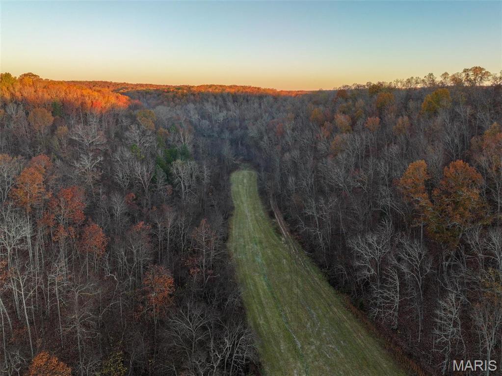 Photo 11 - Farm for sale – 0  Highway K   Jadwin, MO