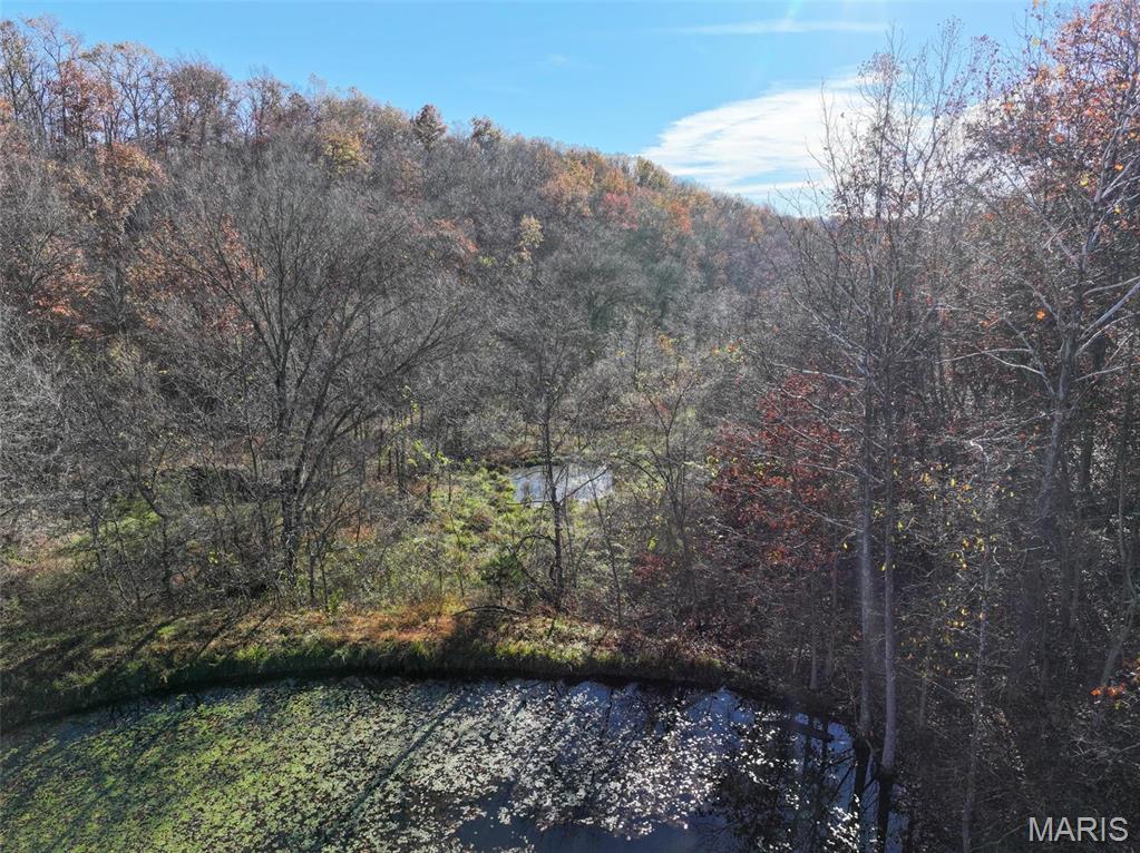 Photo 27 - Farm for sale – 0  Highway K   Jadwin, MO
