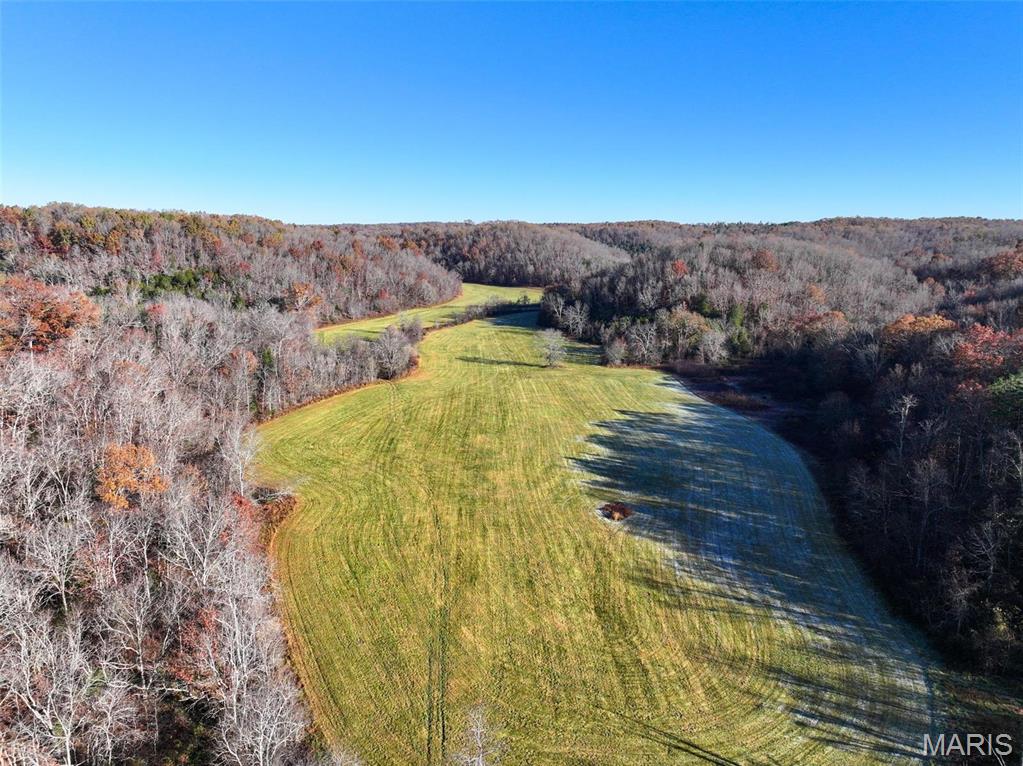 Photo 19 - Farm for sale – 0  Highway K   Jadwin, MO