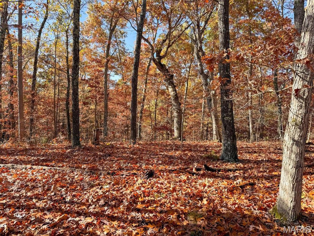 Photo 42 - Farm for sale – 0  Highway K   Jadwin, MO