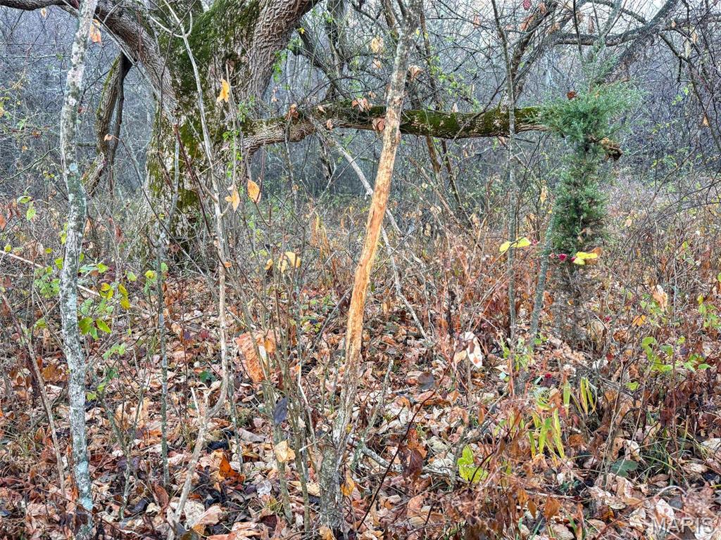 Photo 62 - Farm for sale – 0  Highway K   Jadwin, MO