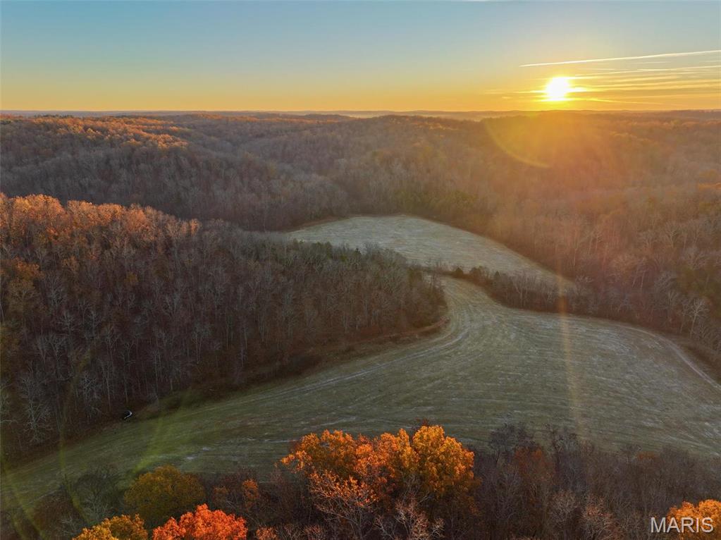 Photo 7 - Farm for sale – 0  Highway K   Jadwin, MO