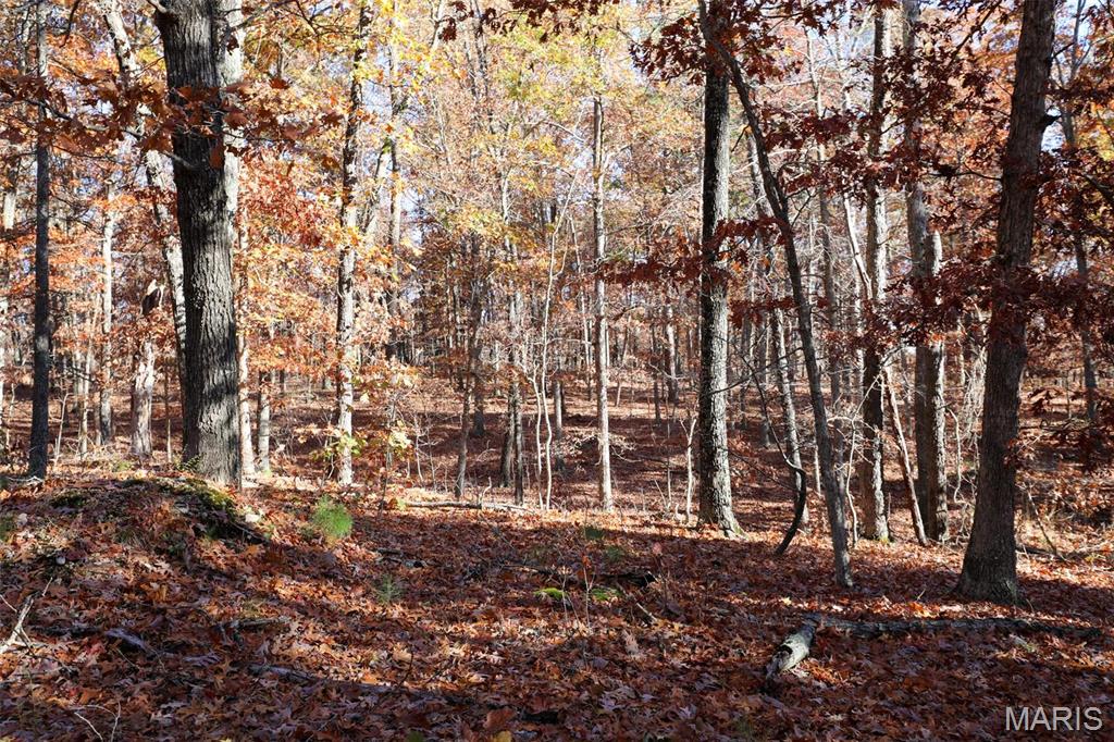 Photo 51 - Farm for sale – 0  Highway K   Jadwin, MO