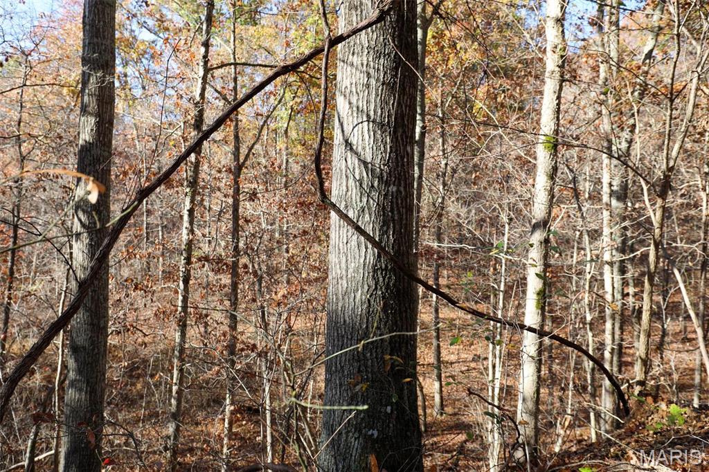 Photo 40 - Farm for sale – 0  Highway K   Jadwin, MO