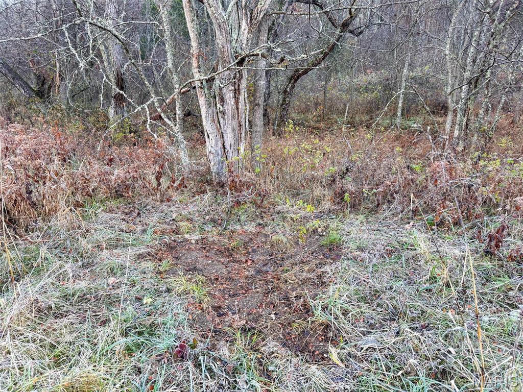 Photo 61 - Farm for sale – 0  Highway K   Jadwin, MO