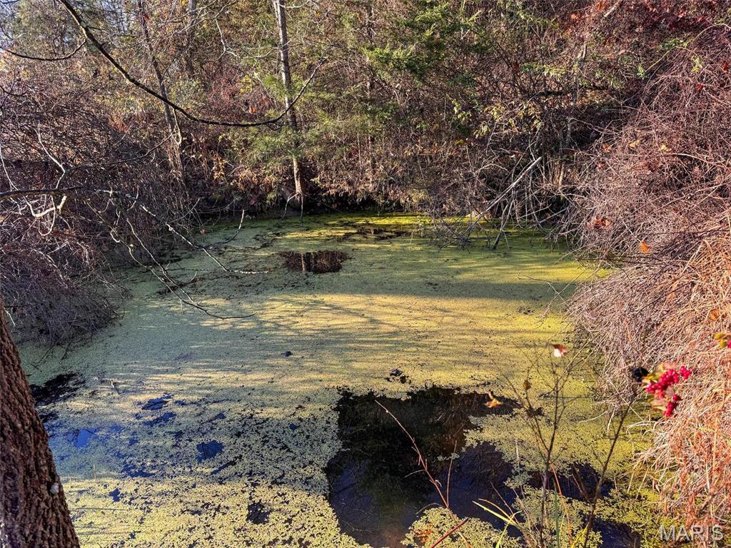 Photo 32 - Farm for sale – 0  Highway K   Jadwin, MO
