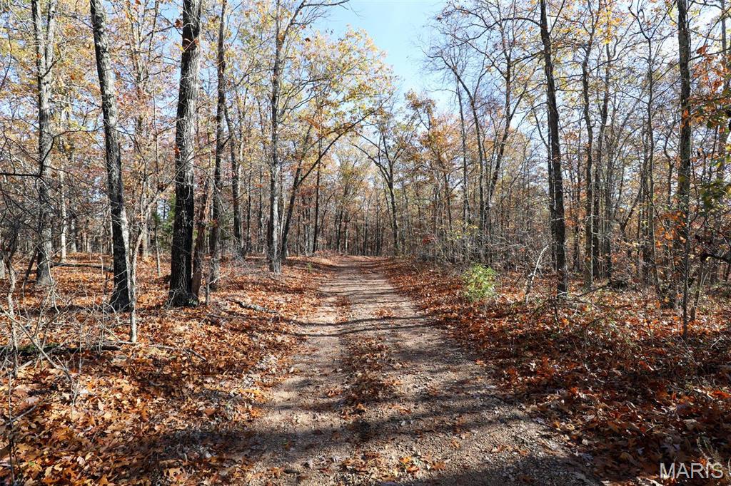 Photo 33 - Farm for sale – 0  Highway K   Jadwin, MO