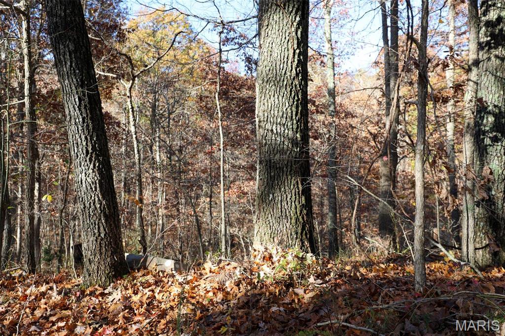 Photo 39 - Farm for sale – 0  Highway K   Jadwin, MO