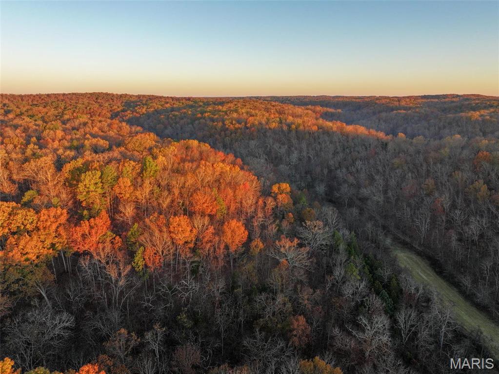 Photo 16 - Farm for sale – 0  Highway K   Jadwin, MO