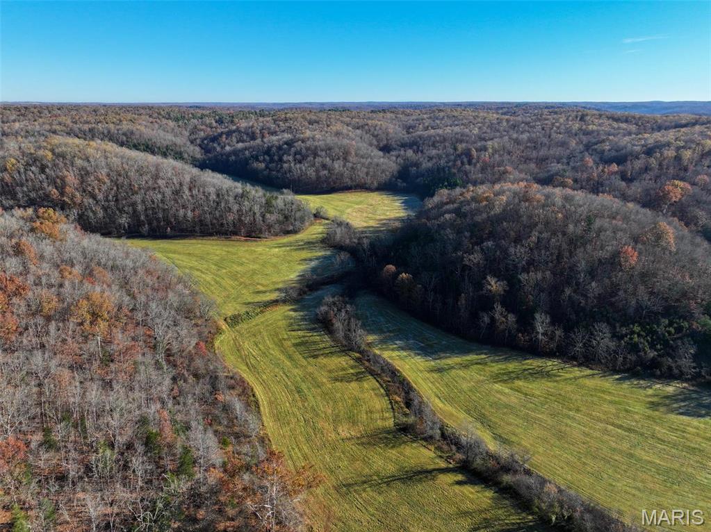 Photo 12 - Farm for sale – 0  Highway K   Jadwin, MO