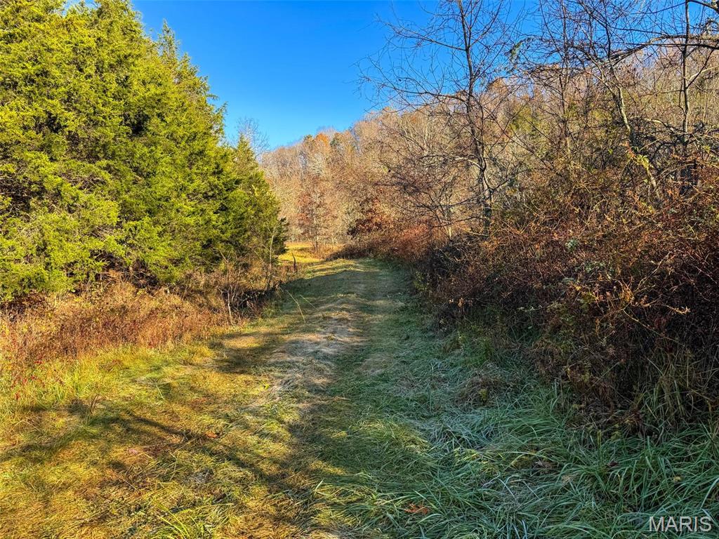 Photo 35 - Farm for sale – 0  Highway K   Jadwin, MO