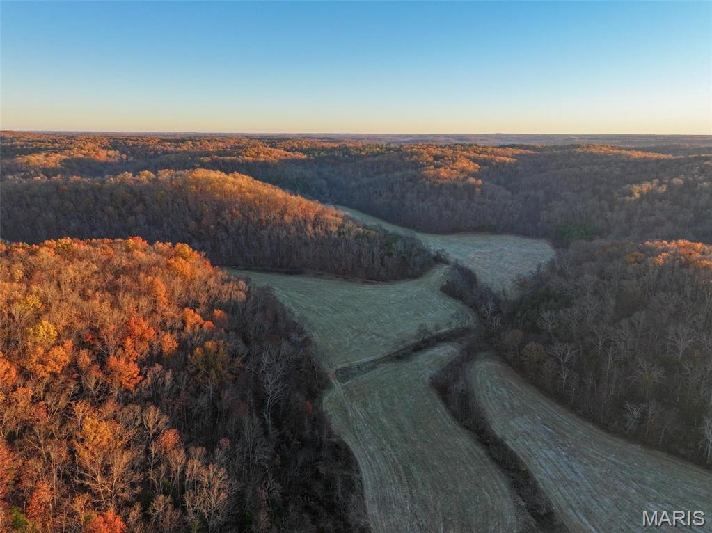 Photo 13 - Farm for sale – 0  Highway K   Jadwin, MO