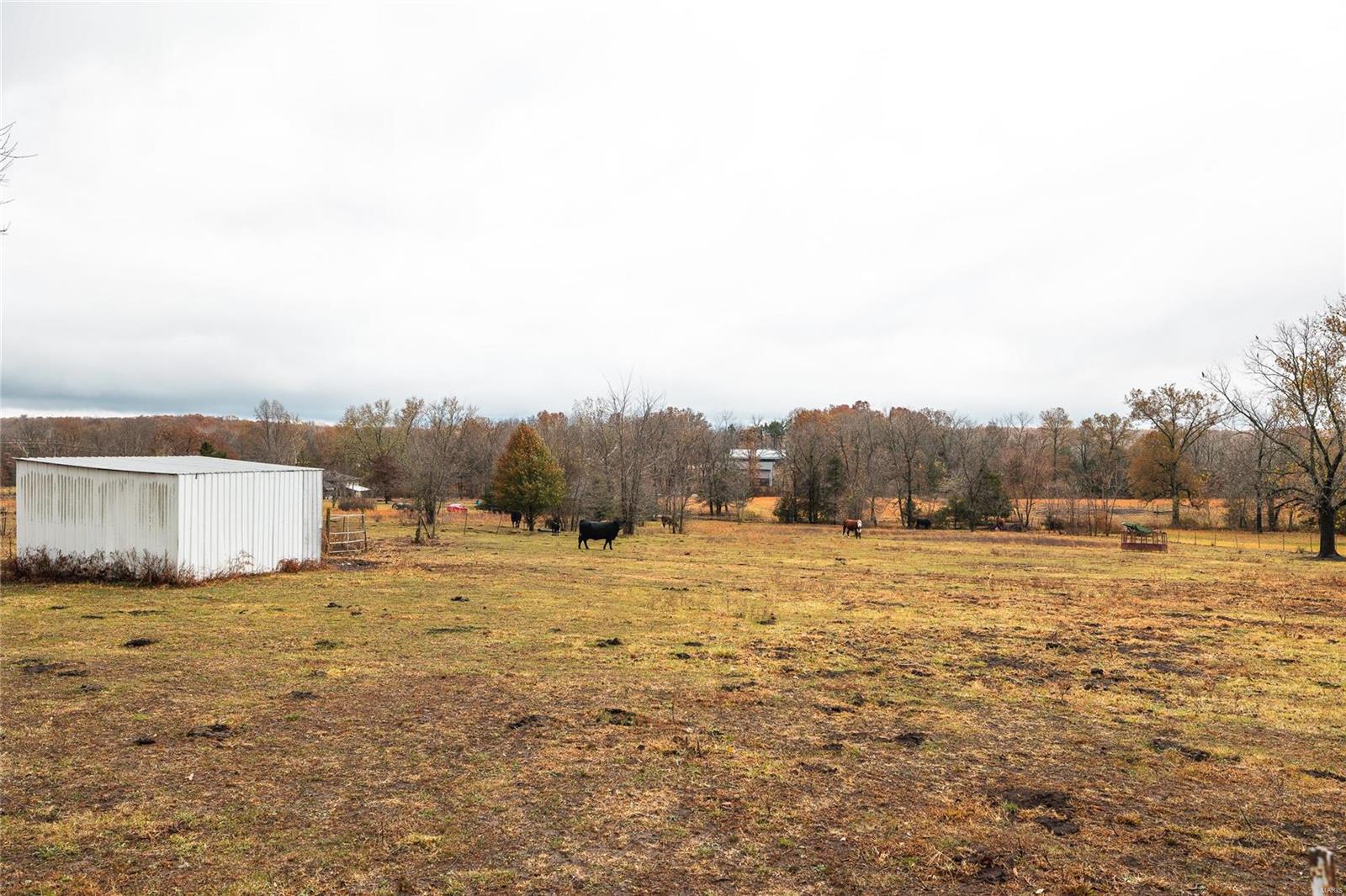 Photo 31 - Farm for sale – 15893  County Road 2450   St James, MO