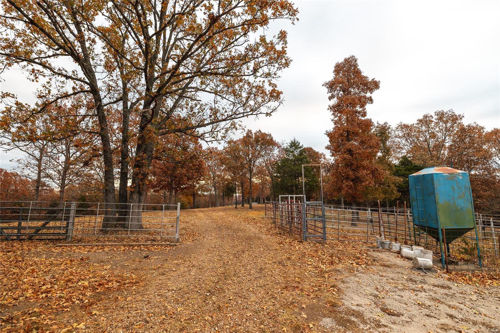 Photo 68 - Farm for sale – 33702  Hwy 63 North   Vienna, MO