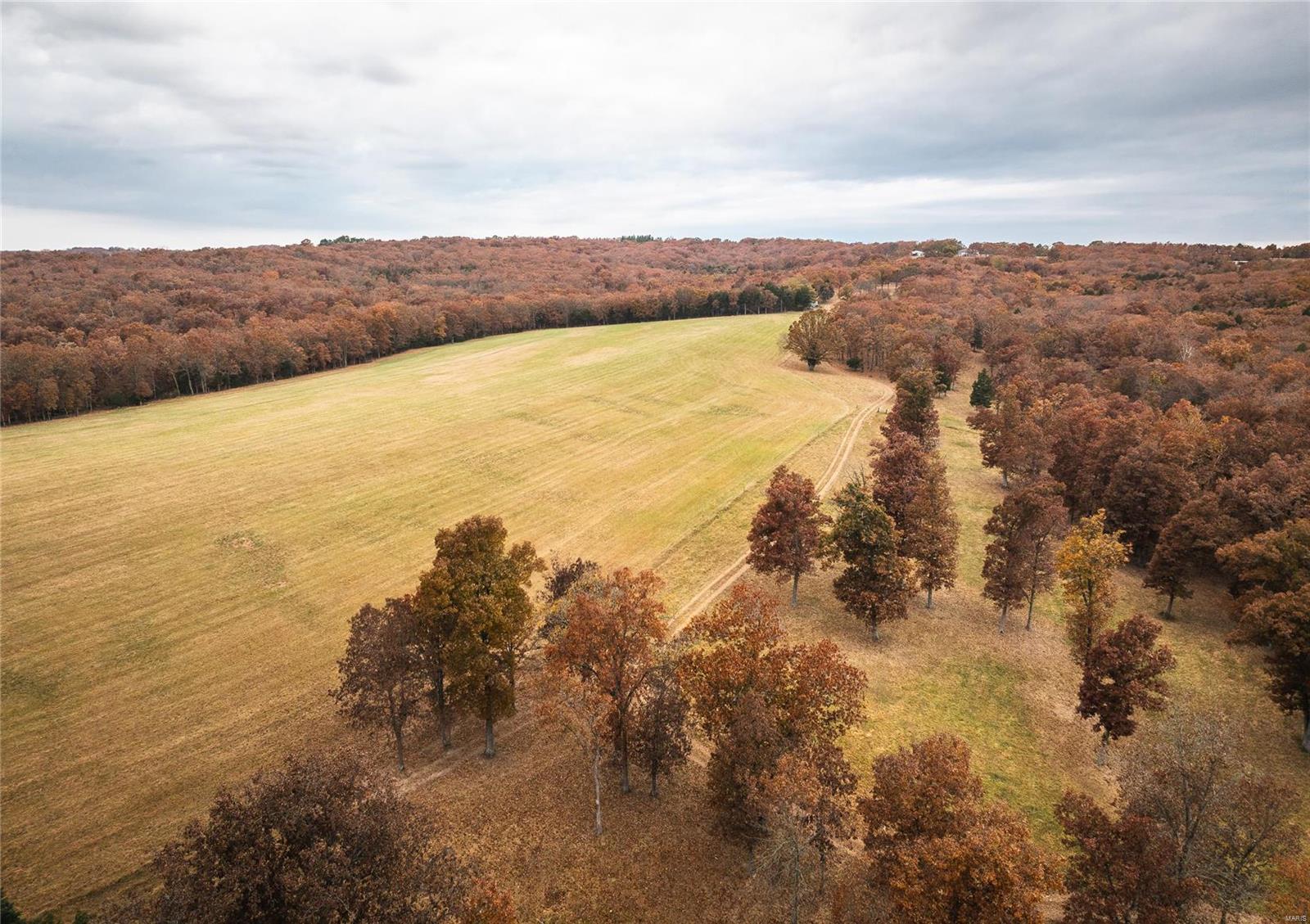 Photo 59 - Farm for sale – 33702  Hwy 63 North   Vienna, MO