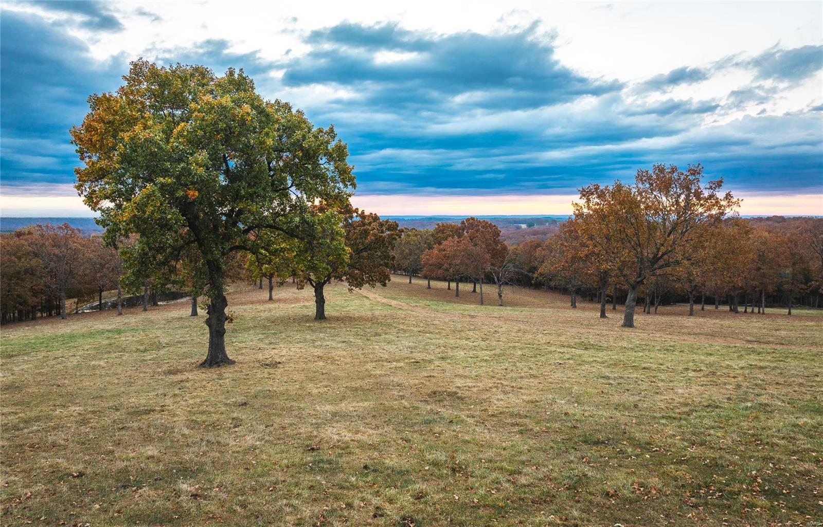 Photo 62 - Farm for sale – 33702  Hwy 63 North   Vienna, MO