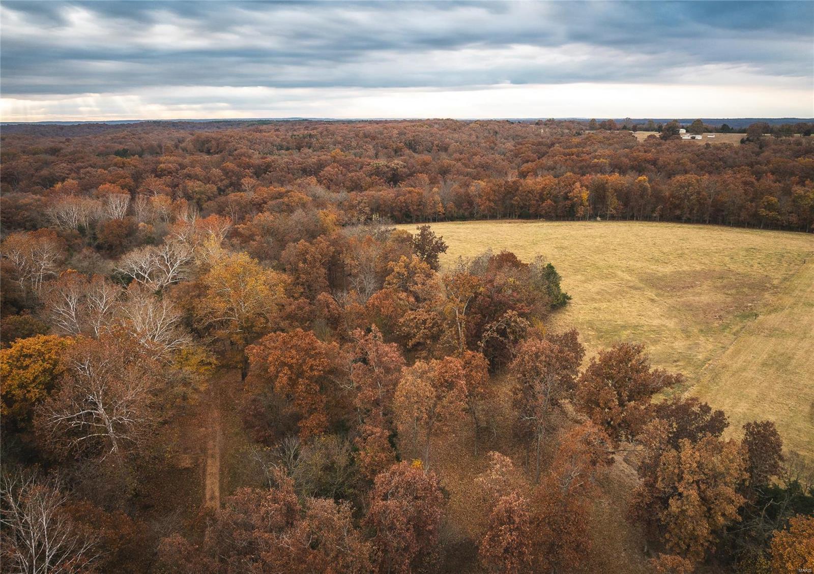 Photo 95 - Farm for sale – 33702  Hwy 63 North   Vienna, MO