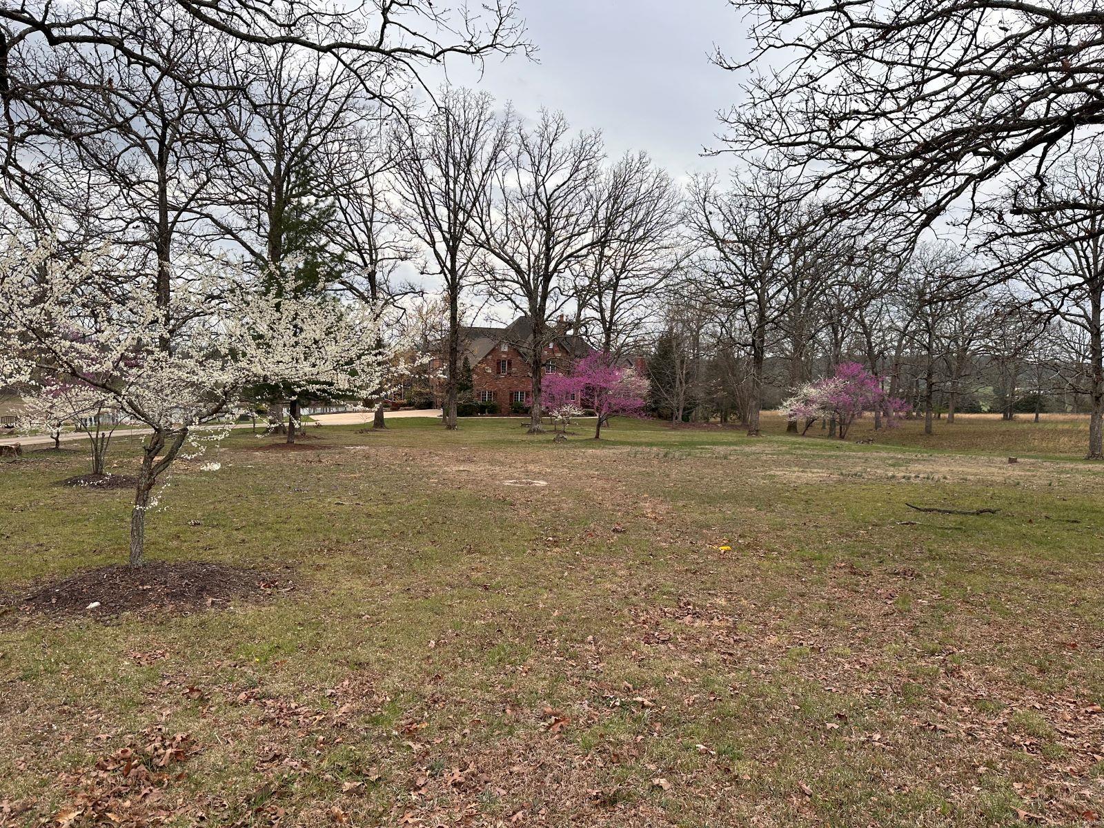 Photo 57 - Residential for sale – 2535 S Highway 19   Salem, MO