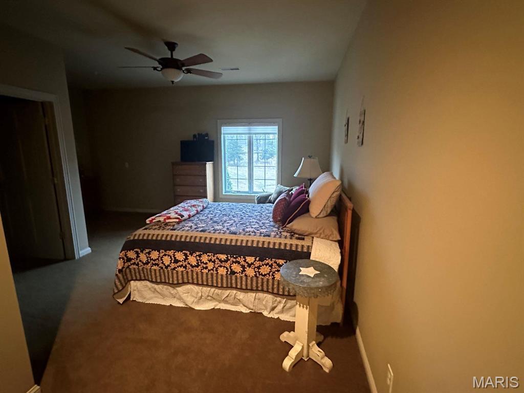 Photo 38 - Residential for sale – 2535 S Highway 19   Salem, MO