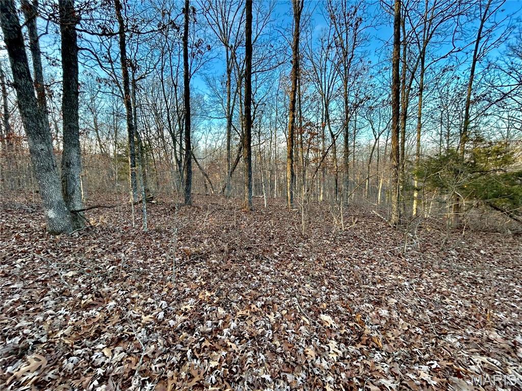 Photo 7 - Farm for sale – 0  TBD Tract 1 Highway CC   Salem, MO