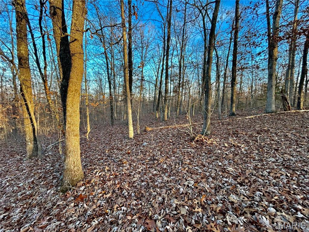 Photo 5 - Farm for sale – 0  TBD Tract 1 Highway CC   Salem, MO