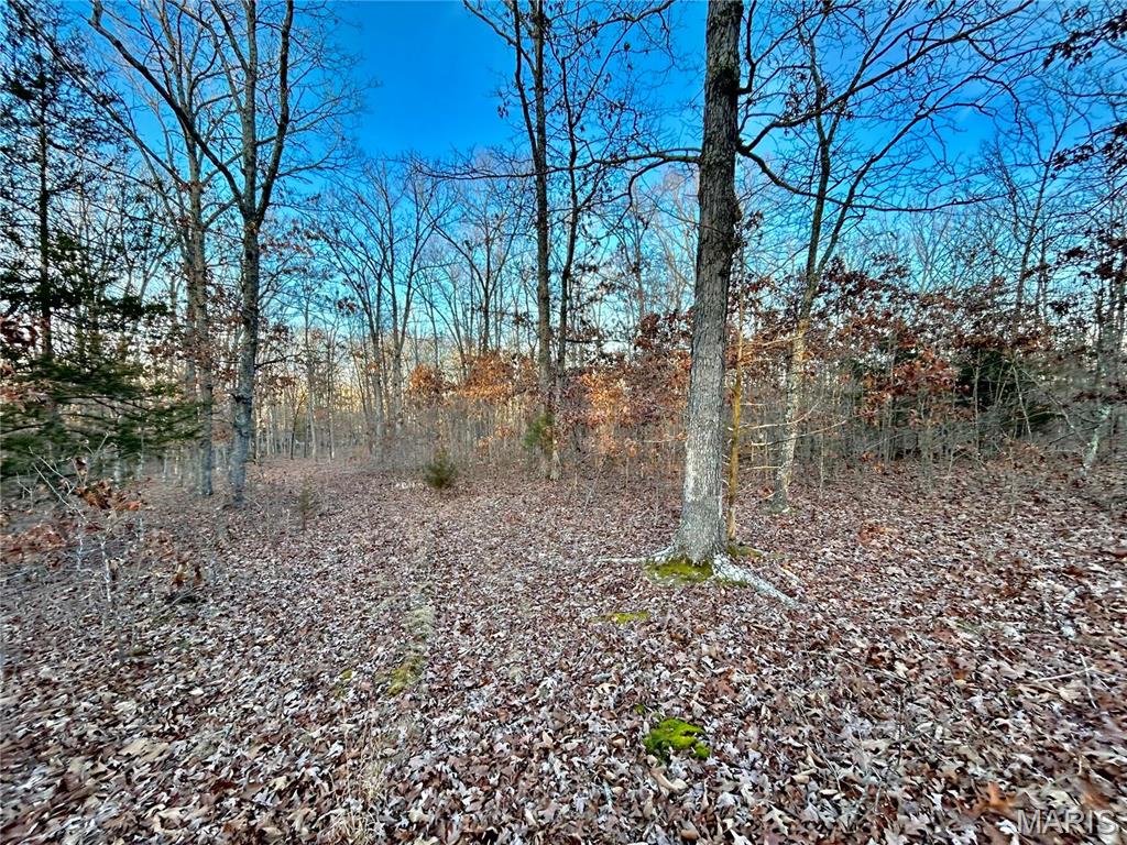Photo 6 - Farm for sale – 0  TBD Tract 1 Highway CC   Salem, MO