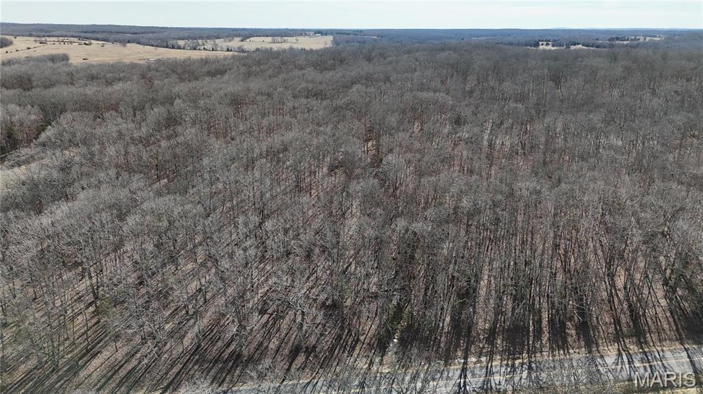 Photo 9 - Farm for sale – 0  TBD Tract 1 Highway CC   Salem, MO
